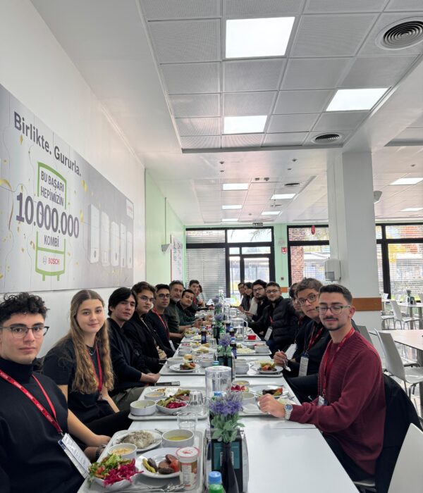 aessboschteknikgezi2