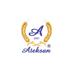 ateksanlogo